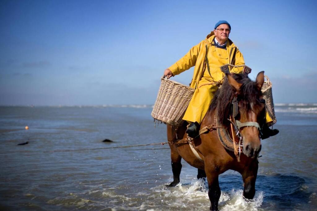 Zeezonzand Koksijde Eksteriør billede