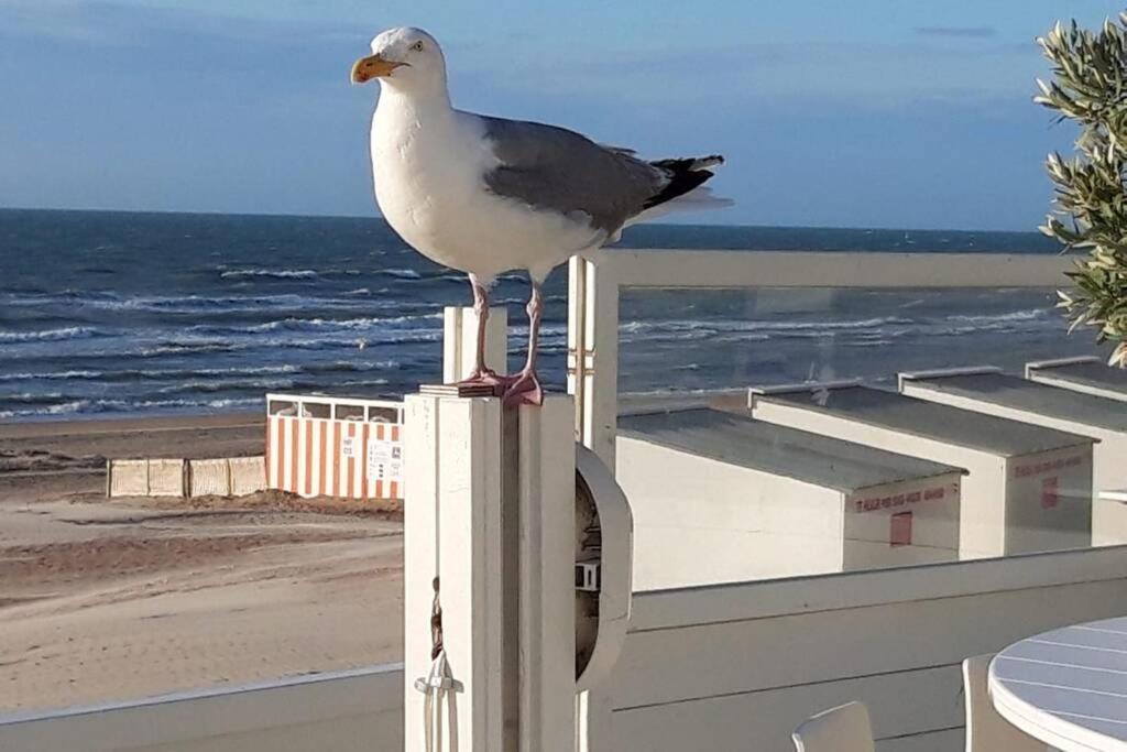 Zeezonzand Koksijde Eksteriør billede